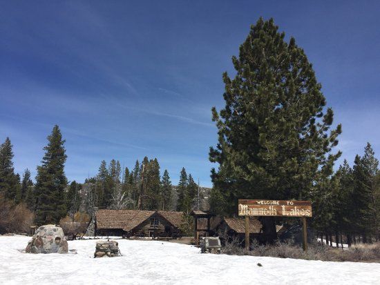 Mammoth Museum at the Hayden Cabin